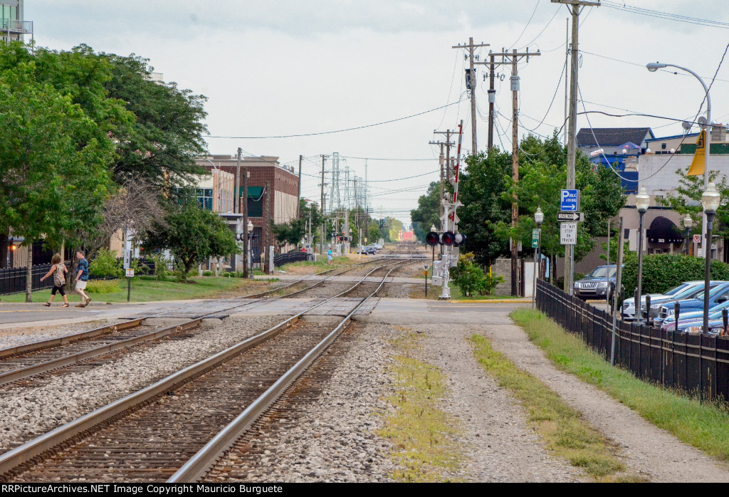 Royal Oak Tracks